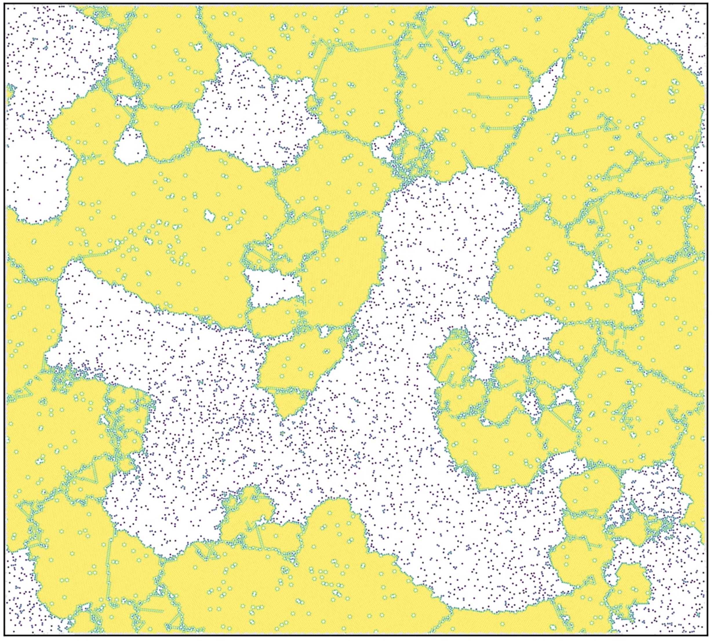 Dense phase of active colloids showing defects