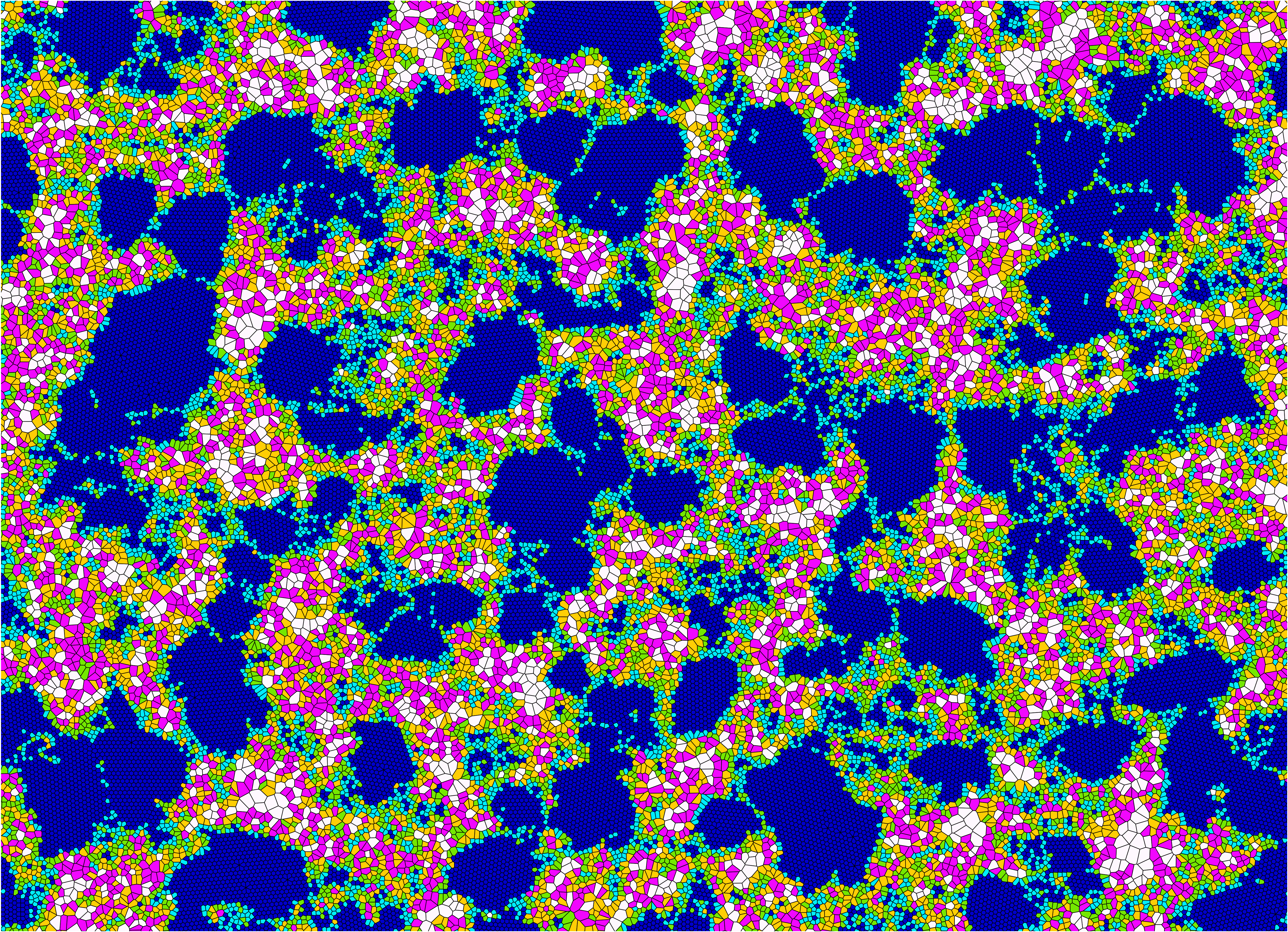 Binary Active Mixtures