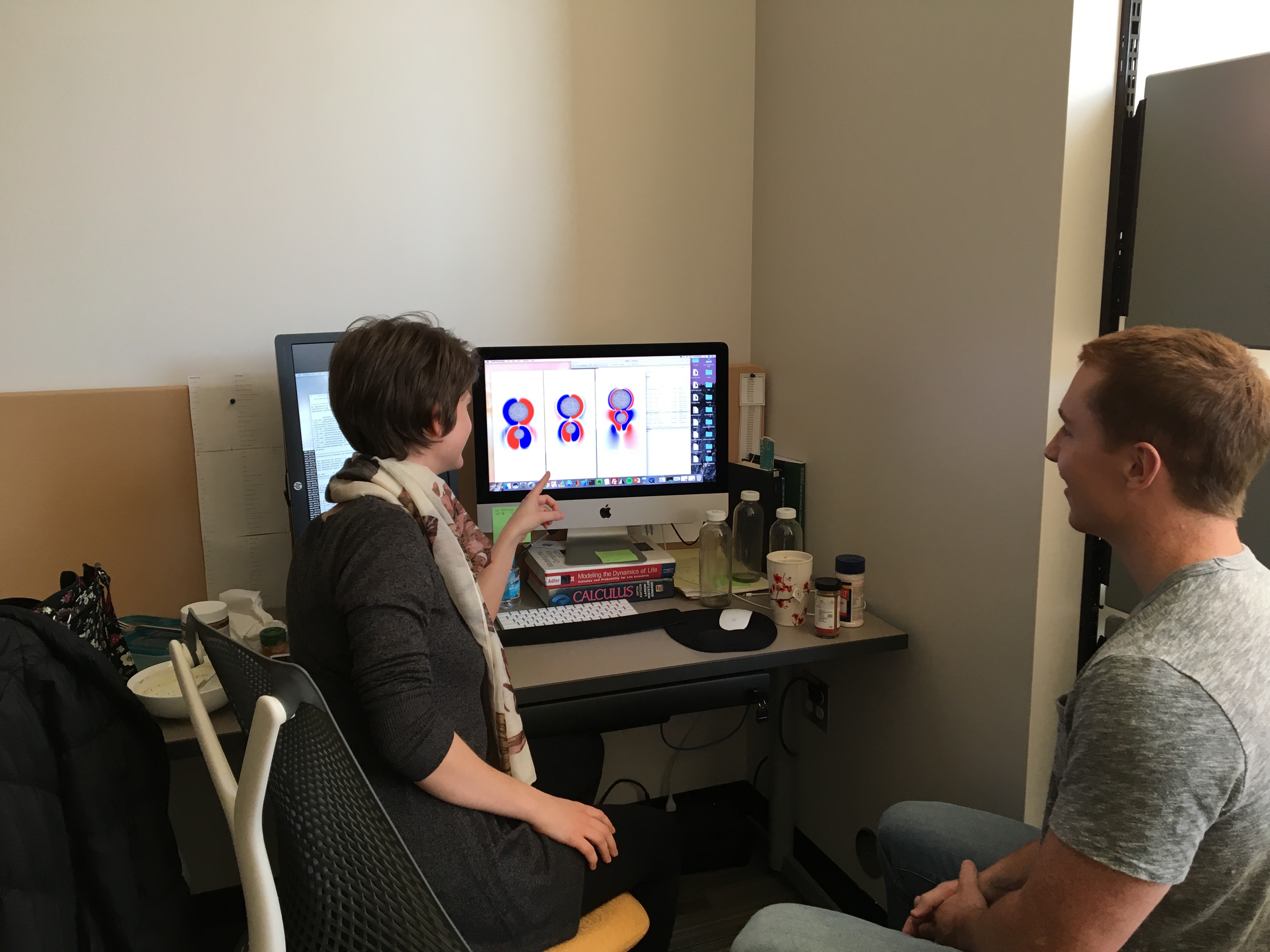 Shannon showing Tom vorticity plots