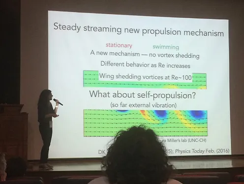 Daphne Gave a Talk at the 30th International Conference on Science and Technology of Complex Fluids