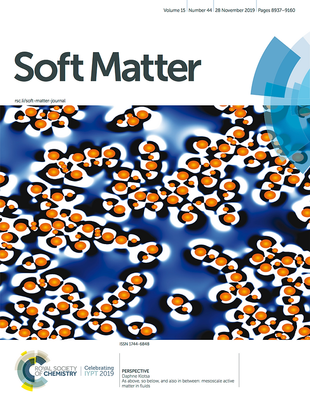 Daphne's Perspective Article Appears in Soft Matter