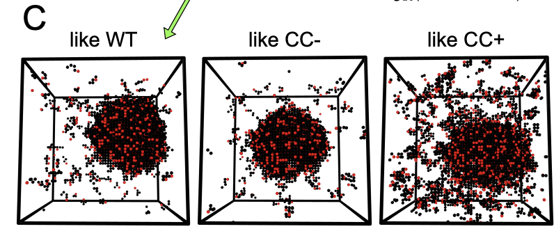 Negative Regulation of a Ribonucleoprotein Condensate Driven by Dilute Phase Oligomerization