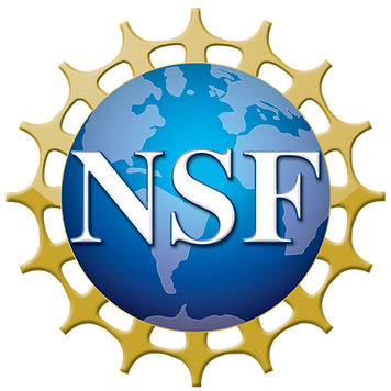 The Group and Daphne Klotsa Just Received a NSF-CAREER Award