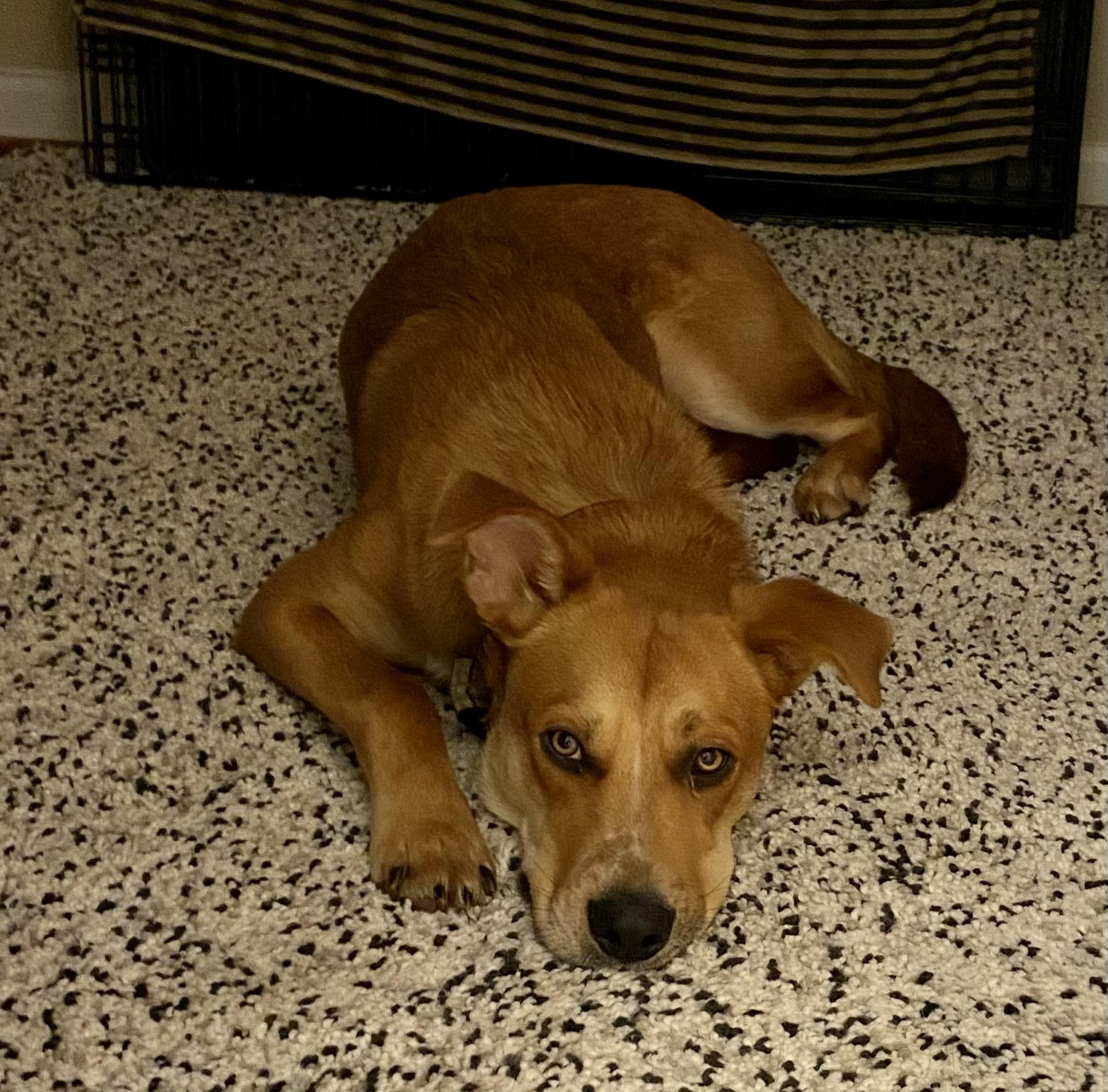 Socrates relaxing